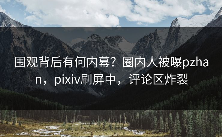 围观背后有何内幕？圈内人被曝pzhan，pixiv刷屏中，评论区炸裂