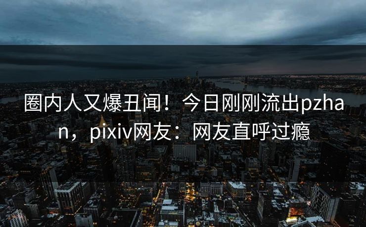 圈内人又爆丑闻！今日刚刚流出pzhan，pixiv网友：网友直呼过瘾