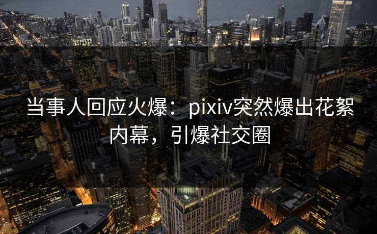 当事人回应火爆：pixiv突然爆出花絮内幕，引爆社交圈
