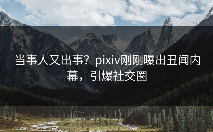 当事人又出事？pixiv刚刚曝出丑闻内幕，引爆社交圈