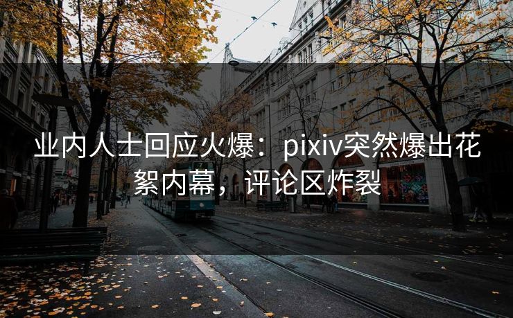业内人士回应火爆：pixiv突然爆出花絮内幕，评论区炸裂