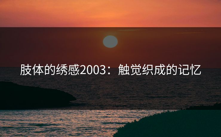 肢体的绣感2003：触觉织成的记忆