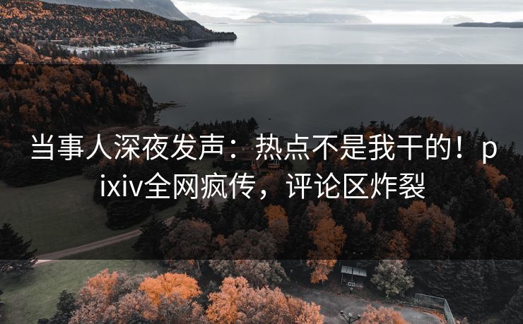 当事人深夜发声：热点不是我干的！pixiv全网疯传，评论区炸裂