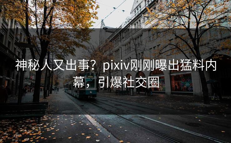 神秘人又出事？pixiv刚刚曝出猛料内幕，引爆社交圈