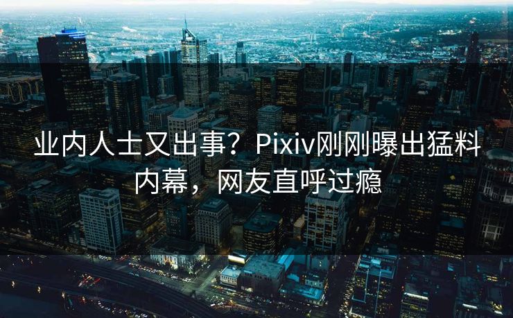 业内人士又出事？Pixiv刚刚曝出猛料内幕，网友直呼过瘾