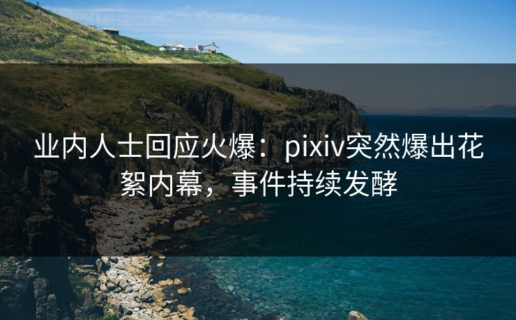 业内人士回应火爆：pixiv突然爆出花絮内幕，事件持续发酵