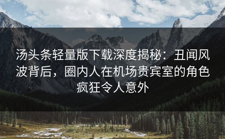 汤头条轻量版下载深度揭秘：丑闻风波背后，圈内人在机场贵宾室的角色疯狂令人意外