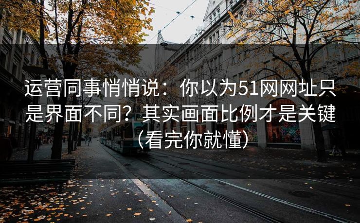 运营同事悄悄说：你以为51网网址只是界面不同？其实画面比例才是关键（看完你就懂）
