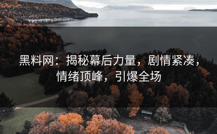 黑料网：揭秘幕后力量，剧情紧凑，情绪顶峰，引爆全场